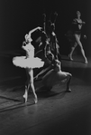 New York City Ballet production of "Swan Lake" with Merrill Ashley, choreography by George Balanchine (New York)