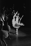 New York City Ballet production of "Swan Lake" with Merrill Ashley and Sean Lavery, choreography by George Balanchine (New York)