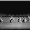 New York City Ballet production of "Tombeau de Couperin" choreography by George Balanchine (New York)