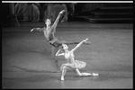 New York City Ballet production of "Sleeping Beauty" with Margaret Tracey as Princess Florine and Damian Woetzel as the Bluebird, choreography by Peter Martins (after Marius Petipa) (New York)