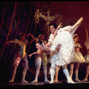 New York City Ballet production of "Coppelia"; scene from Act 3 with Patricia McBride and Helgi Tomasson, choreography by George Balanchine and Alexandra Danilova after Marius Petipa (Saratoga)