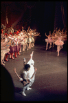 New York City Ballet production of "Coppelia"; scene from Act 3 with Patricia McBride and Helgi Tomasson, choreography by George Balanchine and Alexandra Danilova after Marius Petipa (Saratoga)