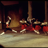 New York City Ballet production of "Don Quixote" with Richard Hoskinson and Karin von Aroldingen, choreography by George Balanchine (New York)