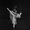 New York City Ballet production of "A Midsummer Night's Dream" with Melissa Hayden as Titania and Richard Rapp as Bottom, choreography by George Balanchine (New York)