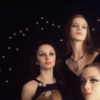 New York City Ballet - Studio photo of (Front L-R) Violette Verdy and Mimi Paul, (Back L-R) Patricia McBride and Suzanne Farrell wearing expensive jewels to advertise "Jewels", choreography by George Balanchine (New York)