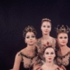 New York City Ballet - Studio photo of (L-R) Violette Verdy, Patricia McBride (front), Suzanne Farrell and Mimi Paul in "Jewels", choreography by George Balanchine (New York)