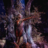 New York City Ballet production of movie version of "A Midsummer Night's Dream" with Arthur Mitchell as Puck, choreography by George Balanchine (New York)