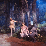 New York City Ballet production of movie version of "A Midsummer Night's Dream" with Edward Villella as Oberon, Suzanne Farrell as Titania and Richard Rapp as Bottom, choreography by George Balanchine (New York)