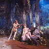 New York City Ballet production of movie version of "A Midsummer Night's Dream" with Edward Villella as Oberon, Suzanne Farrell as Titania and Richard Rapp as Bottom, choreography by George Balanchine (New York)
