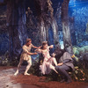 New York City Ballet production of movie version of "A Midsummer Night's Dream" with Edward Villella as Oberon, Suzanne Farrell as Titania and Richard Rapp as Bottom, choreography by George Balanchine (New York)