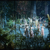 New York City Ballet production of movie version of "A Midsummer Night's Dream" showing a forest scene, choreography by George Balanchine (New York)