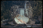 New York City Ballet production of the movie version of "A Midsummer Night's Dream" with Suzanne Farrell as Titania and Edward Villella as Oberon, choreography by George Balanchine (New York)
