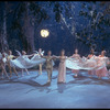 New York City Ballet production of the movie version of "A Midsummer Night's Dream" with Suzanne Farrell as Titania and Edward Villella as Oberon, choreography by George Balanchine (New York)