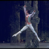 New York City Ballet production of "Vienna Waltzes" with Helgi Tomasson, choreography by George Balanchine (New York)