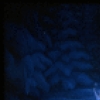 Snow scene, in a New York City Ballet production of "The Nutcracker" (New York)