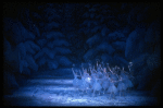 Snow scene, in a New York City Ballet production of "The Nutcracker" (New York)