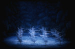 Snow scene, in a New York City Ballet production of "The Nutcracker" (New York)