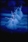 Snow scene, in a New York City Ballet production of "The Nutcracker" (New York)