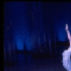 New York City Ballet production of "Le Baiser de la Fee" with Patricia McBride and Helgi Tomasson, choreography by George Balanchine (New York)