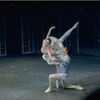 New York City Ballet production of "Divertimento No. 15" with Patricia Neary and Anthony Blum, choreography by George Balanchine (New York)