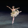 New York City Ballet production of "Divertimento No. 15" with Stephanie Saland, choreography by George Balanchine (New York)