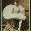 Isolina Torri