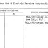 American Gas & Electric Service Corporation