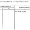 American Occupational Therapy Association