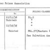 American Prison Association