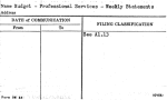Budget - Professional Services - Weekly Statements