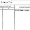 Chief Evergreen Tree