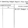 Current Operating Budget Report--Vice President--Theme Center