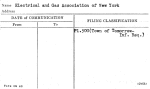 Electrical and Gas Association of New York