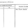 El Matrimonio Africano