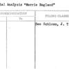 Financial Analysis "Merrie England"