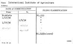 International Institute of Agriculture