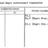 National Negro Achievement Commission