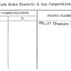 New York State Electric & Gas Corporation