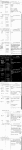 Remington Rand Inc.