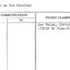 Report on Ice Carnival