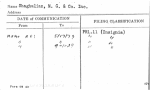 Shaghalian, M.G. & Co. Inc.