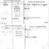 Siegel, Rothschild-Gans Bros. Inc.