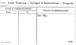 Youth Promotion - Colleges & Universities - Flagpole