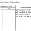 Yugoslovia Deputy Commissioner